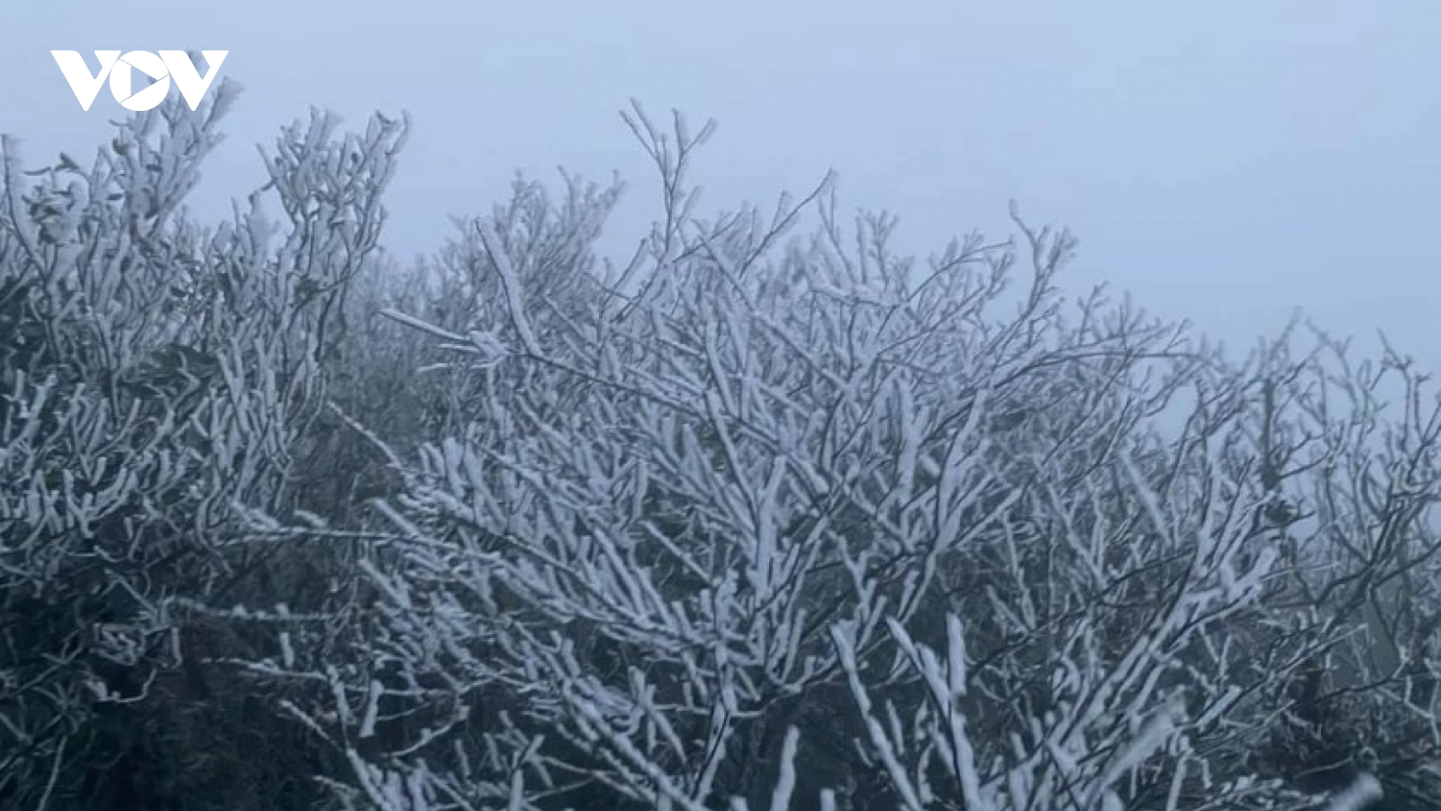 Northern Vietnam braces for deep freeze from November 17