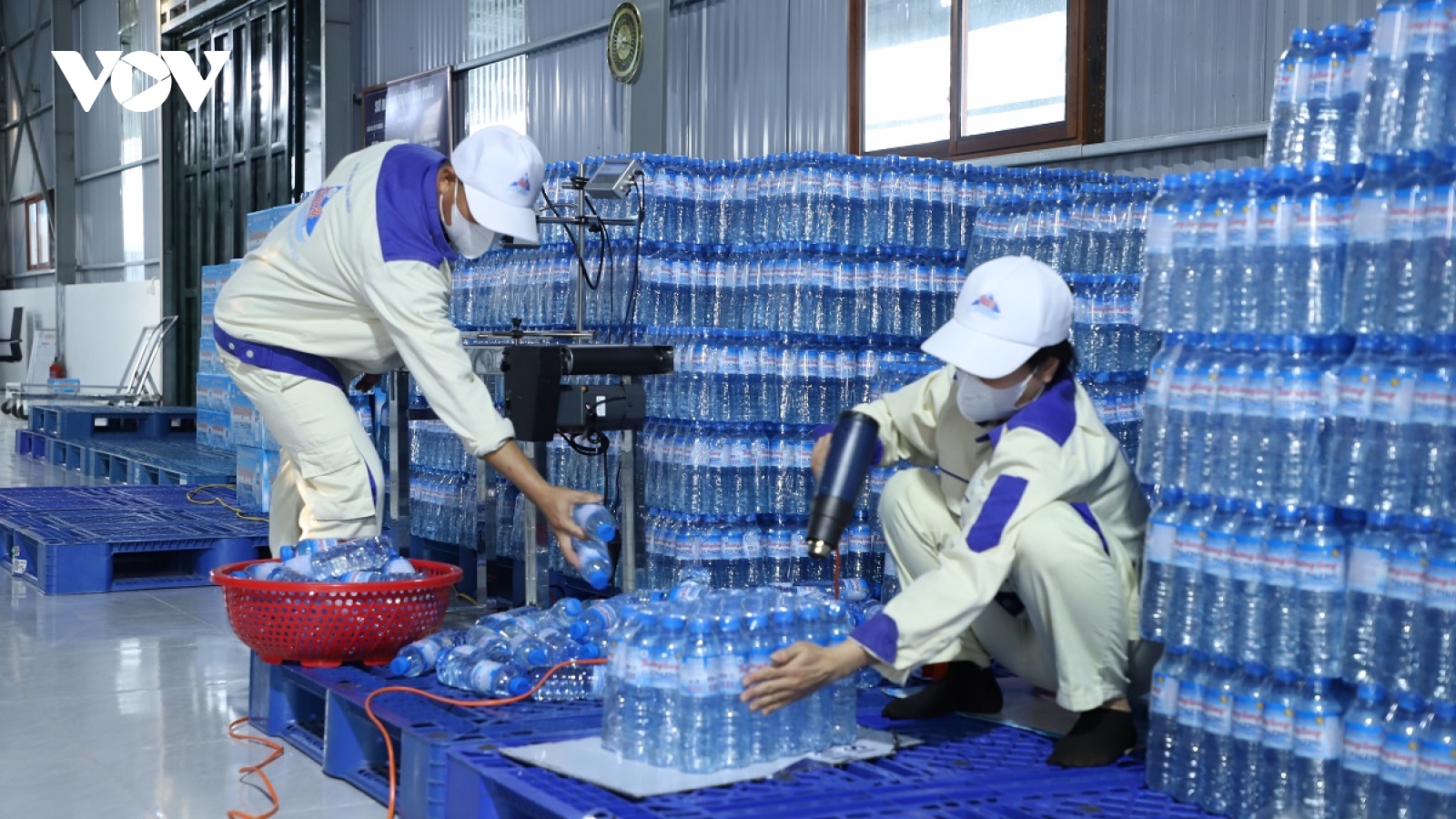 Tay trắng về quê, nữ 9X thành lập HTX xây lại ước mơ từ dòng suối quê