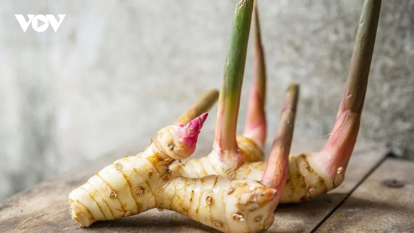 Vị thuốc quý "hiếm có khó tìm" trên thế giới, Việt Nam cực sẵn giá lại rẻ bèo