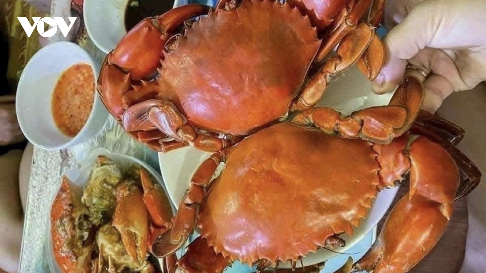 “Xin chào Cà Mau” mang hương vị Cua Cà Mau đến TP.HCM