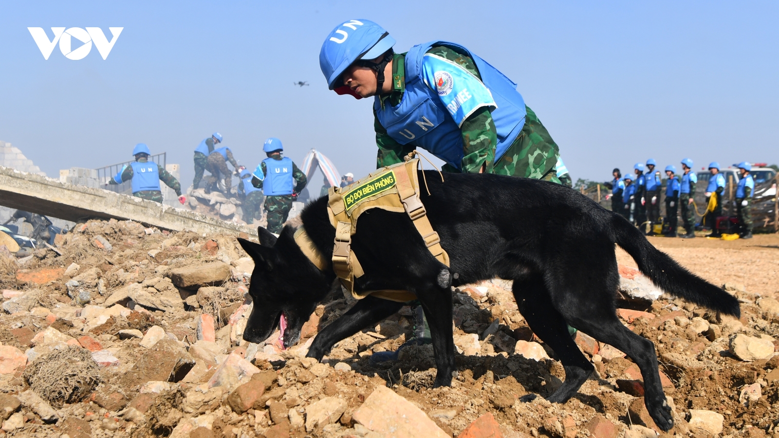 Trực thăng, chó nghiệp vụ tham gia diễn tập song phương Việt Nam - Ấn Độ