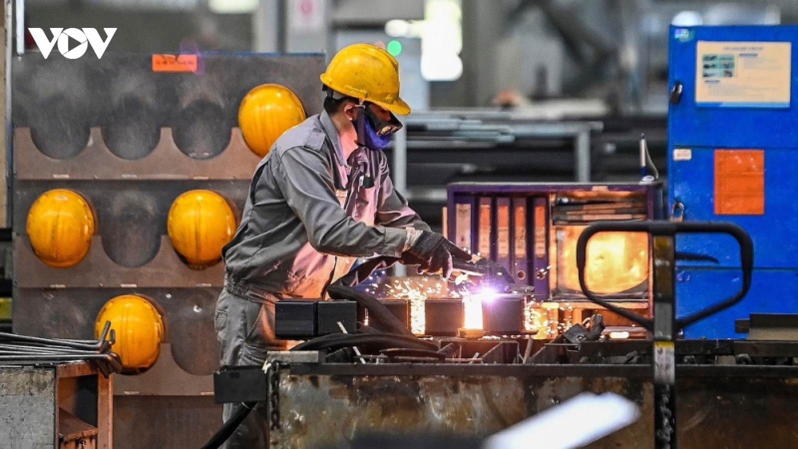 Hoàn thiện chính sách hỗ trợ phát triển doanh nghiệp tư nhân “sếu đầu đàn”