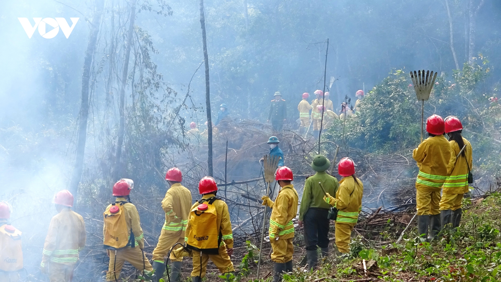 Thái Nguyên chủ động ứng phó nguy cơ cháy rừng từ cơ sở