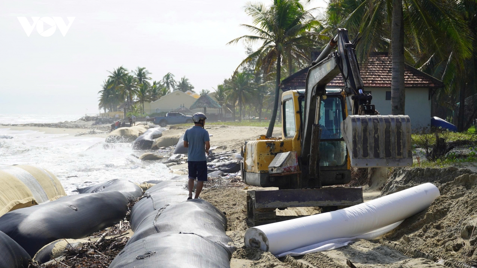 Bão số 13 đang tiến gần: Bờ biển Cửa Đại, Hội An bị xói lở nghiêm trọng
