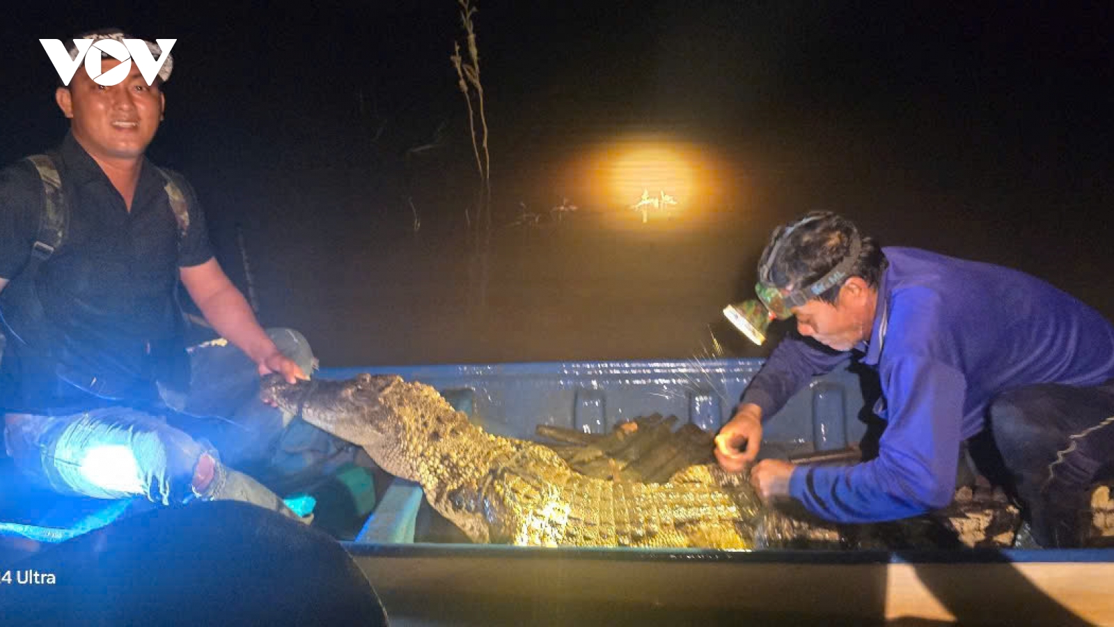 Người dân giao nộp cá sấu nặng 37kg cho Đồn Biên phòng Sông Trăng