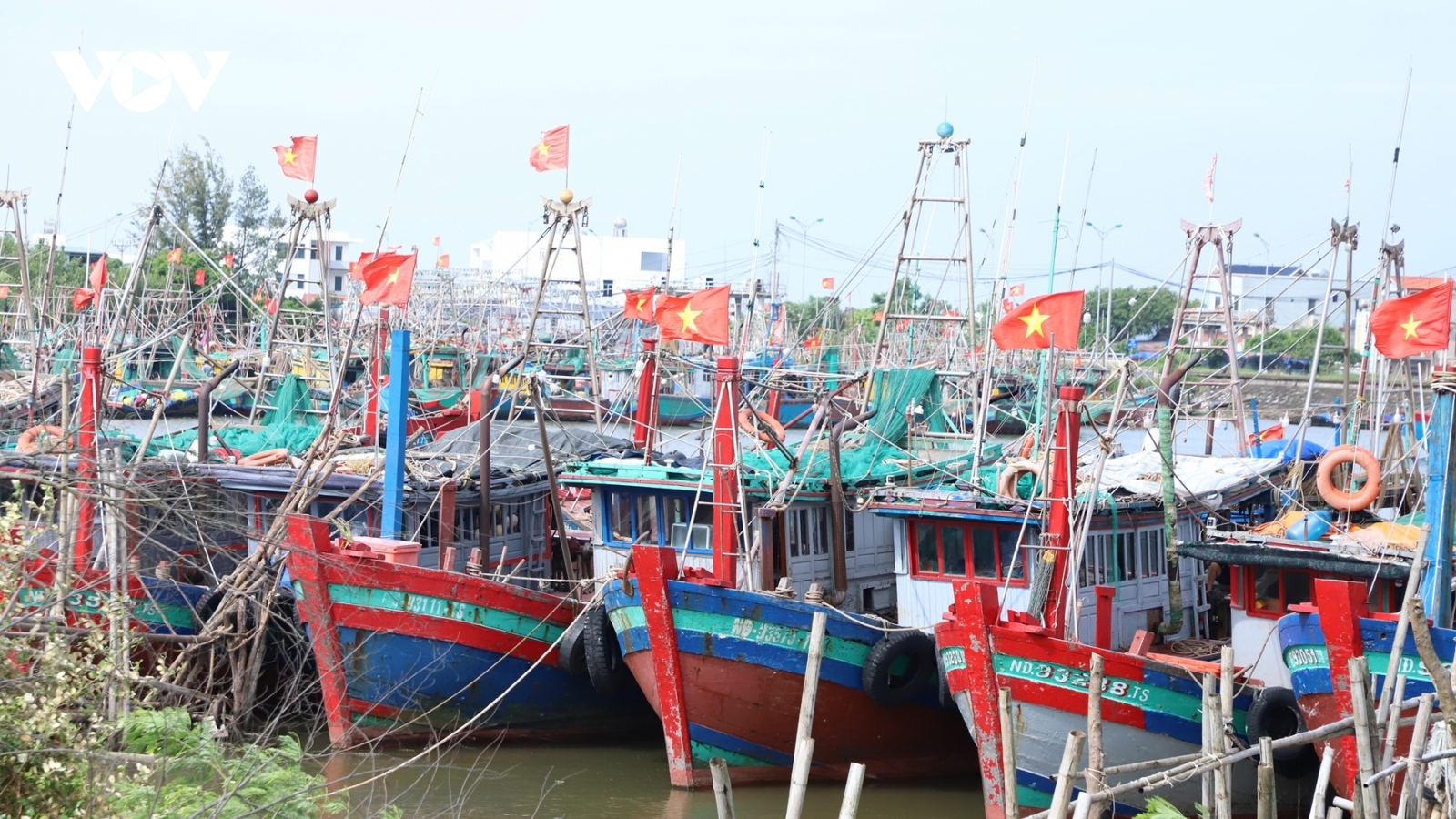 Ninh Bình yêu cầu xử lý nghiêm các trường hợp vi phạm IUU chưa nộp phạt