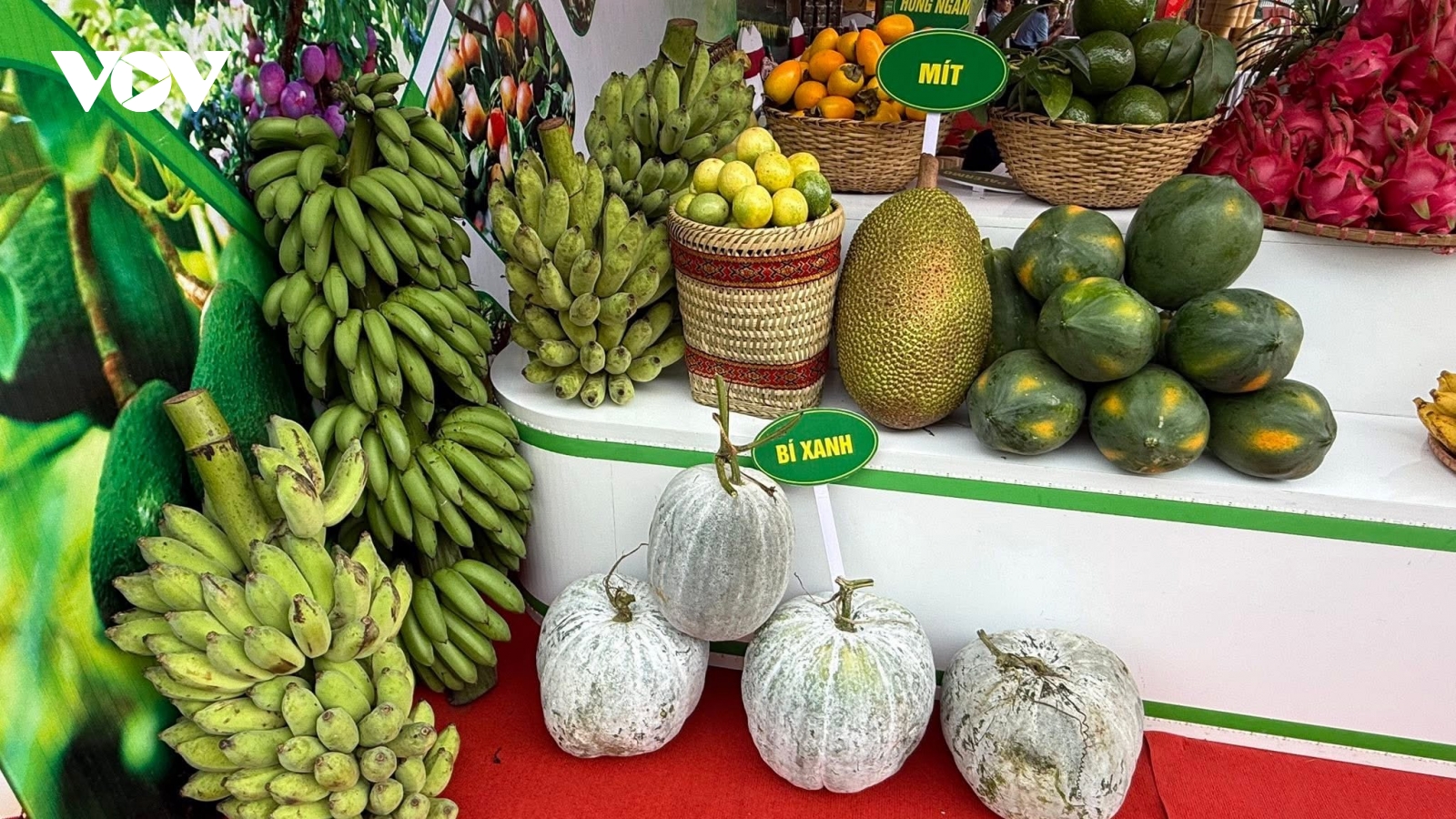 Sơn La ước thu 510.000 tấn quả trong năm 2025