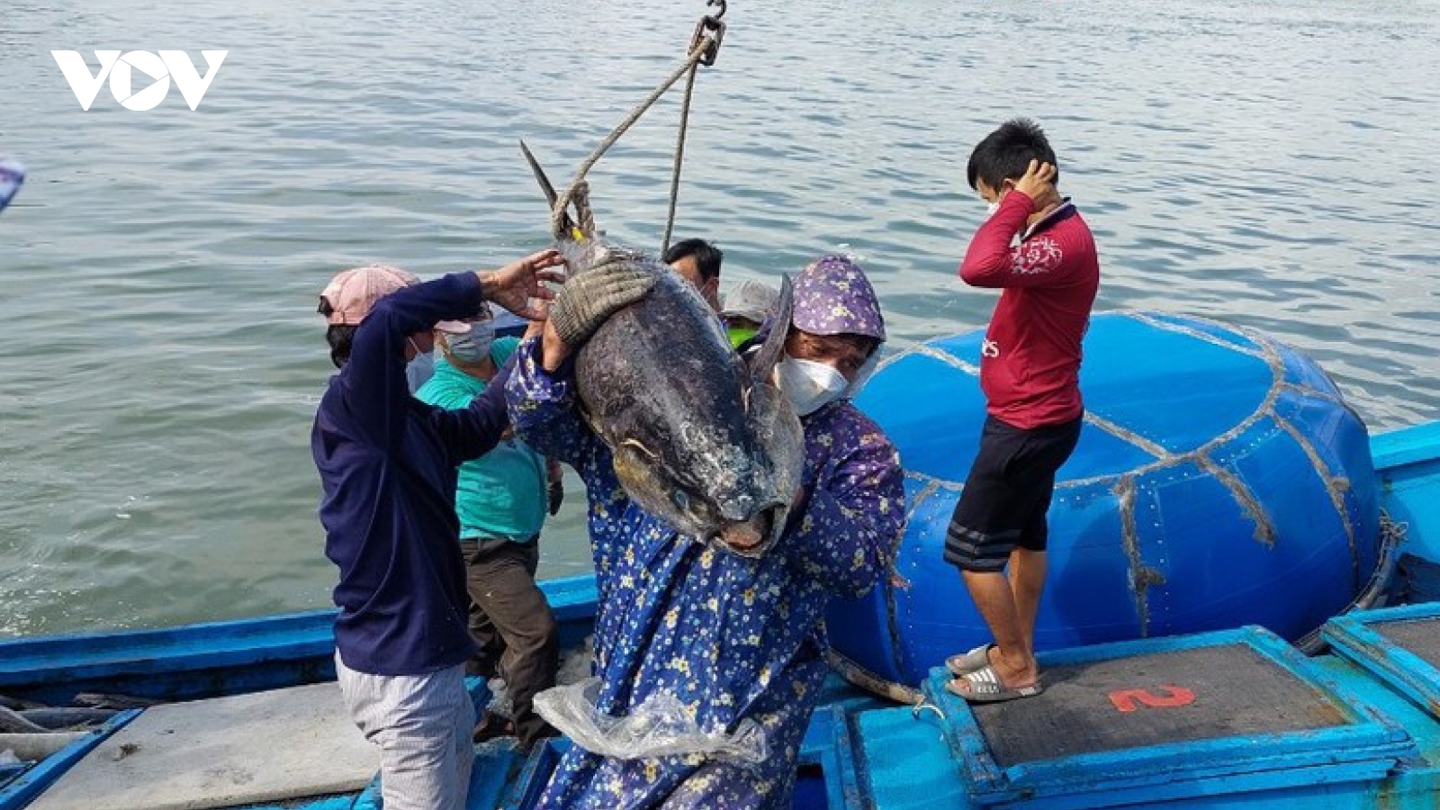 Đánh bắt trái phép ở vùng biển nước ngoài, 2 thuyền trưởng bị đề nghị truy tố