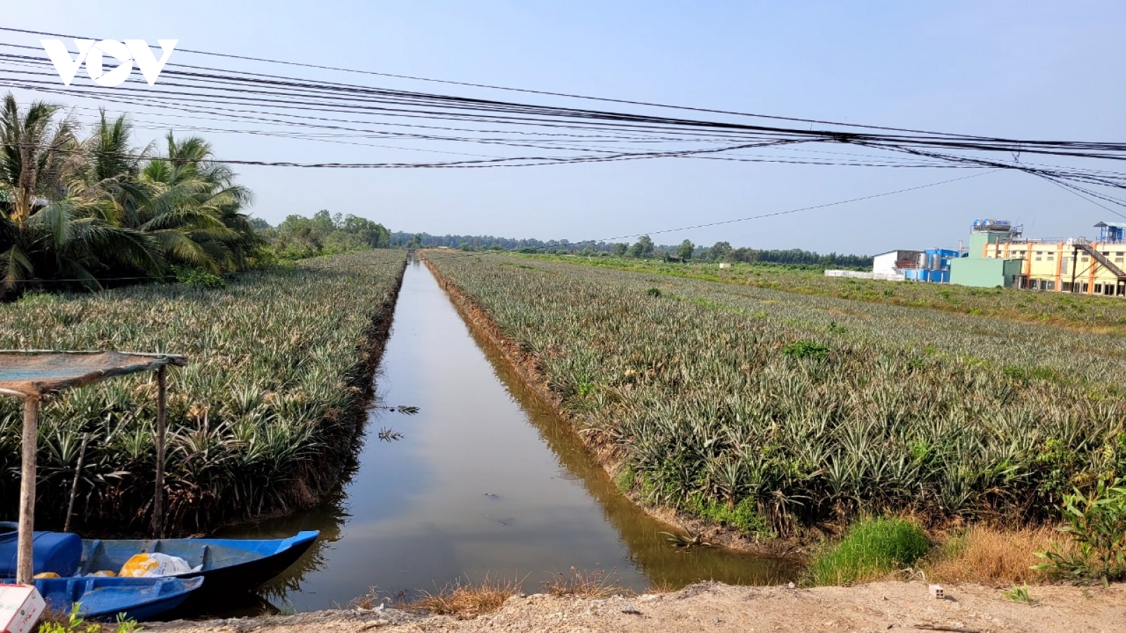 Đánh bắt thủy sản bằng xung điện tại ruộng khóm, hủy hoại nguồn lợi