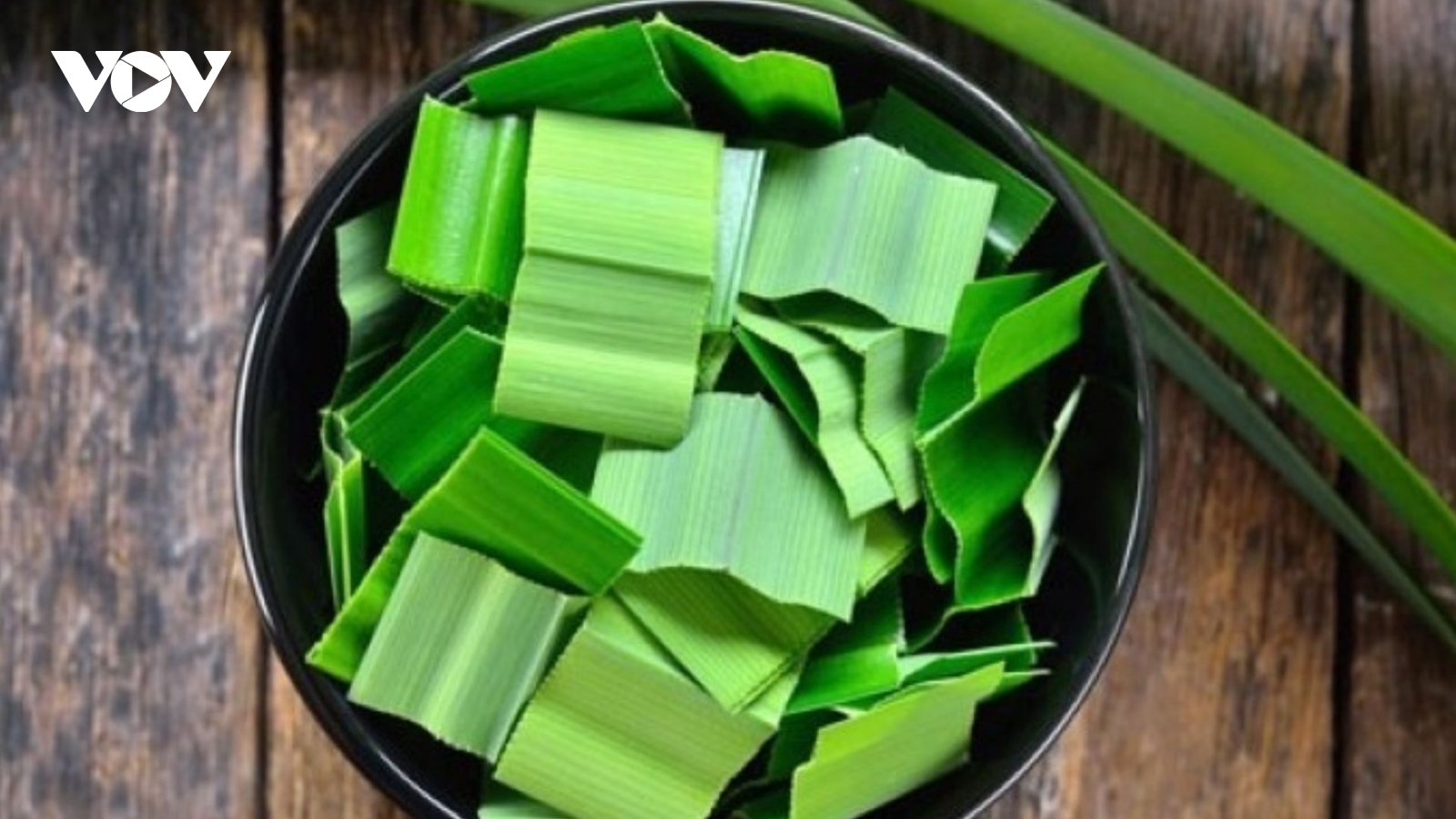 Việt Nam có loại lá thơm lừng đặc trưng là "vị thuốc đại bổ", ngừa cả ung thư