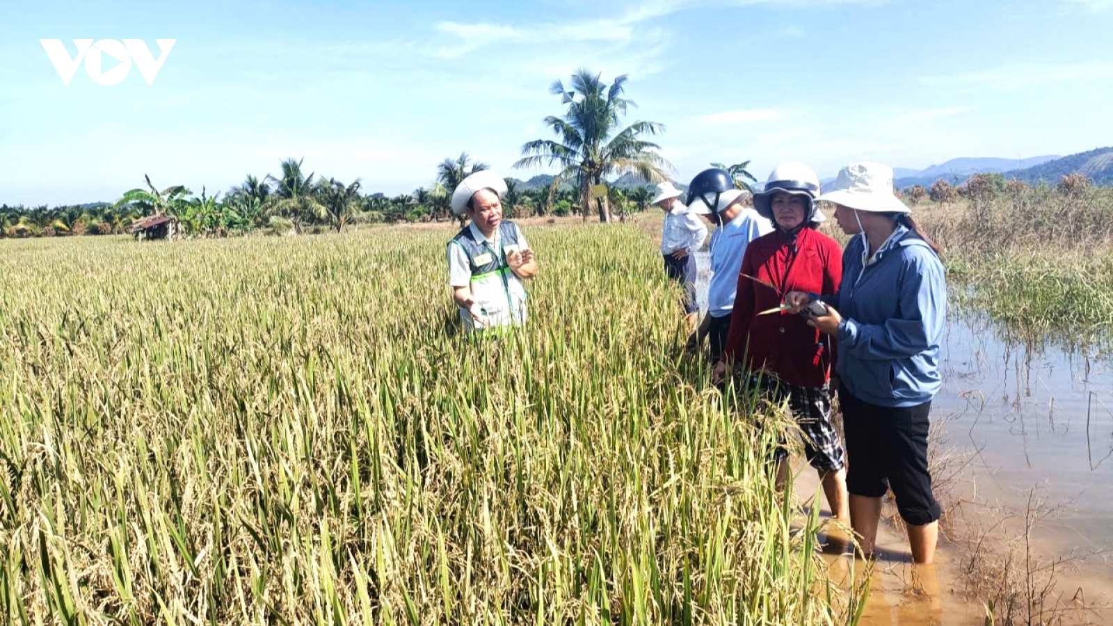 Lâm Đồng đưa cán bộ khuyến nông về xã để gần dân hơn