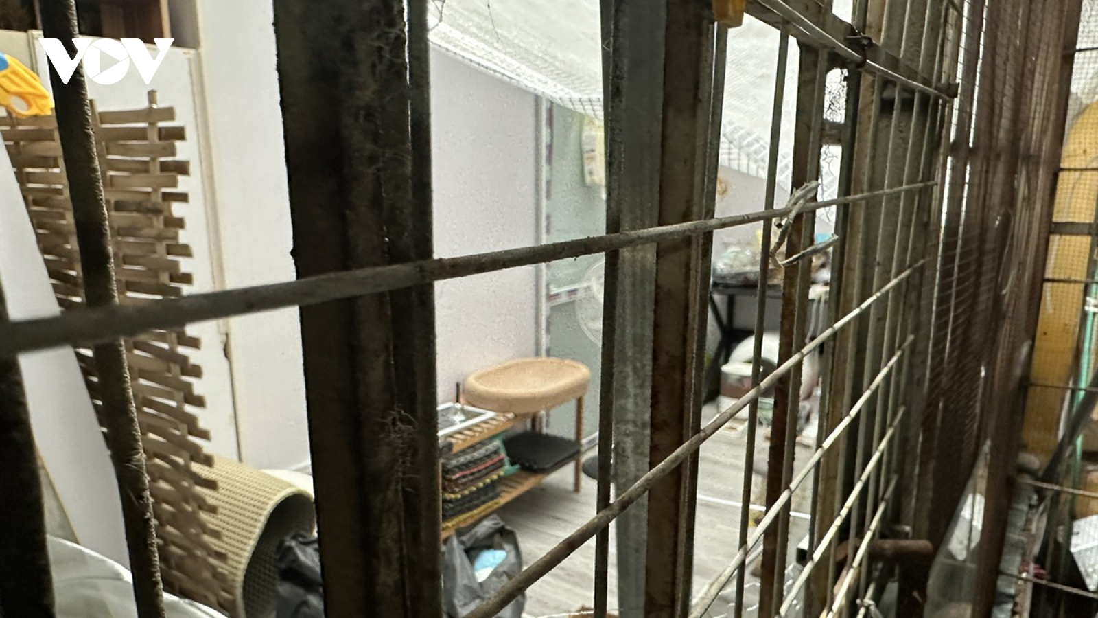 Khu tập thể Viện Năng Lượng ở Hà Nội “nghẹt thở” vì chuồng cọp do xử lý chưa quyết liệt?