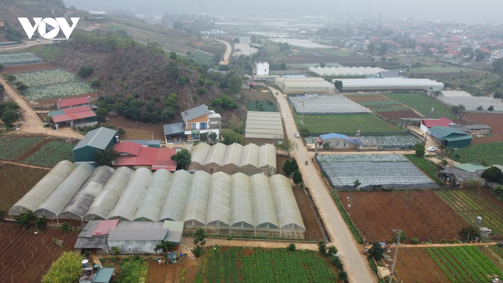 Từng bước trở thành “thủ phủ” nông nghiệp công nghệ cao vùng Tây Bắc