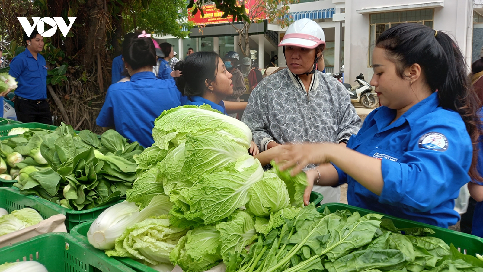 Khánh Hòa mở “gian hàng rau 0 đồng” hỗ trợ người dân sau lũ
