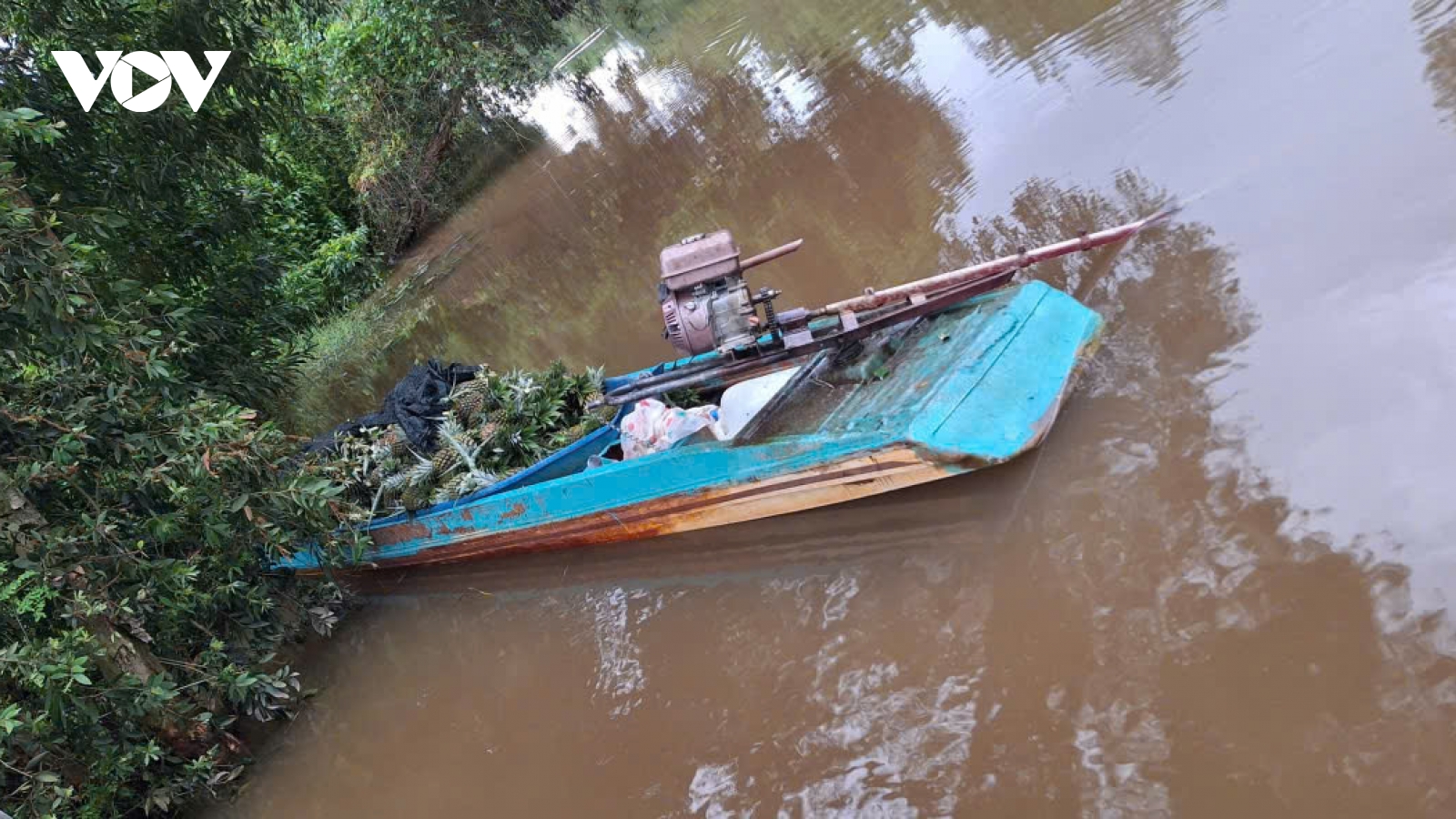 Bắt giữ 4 đối tượng chuyên trộm trái khóm và vỏ lãi của dân