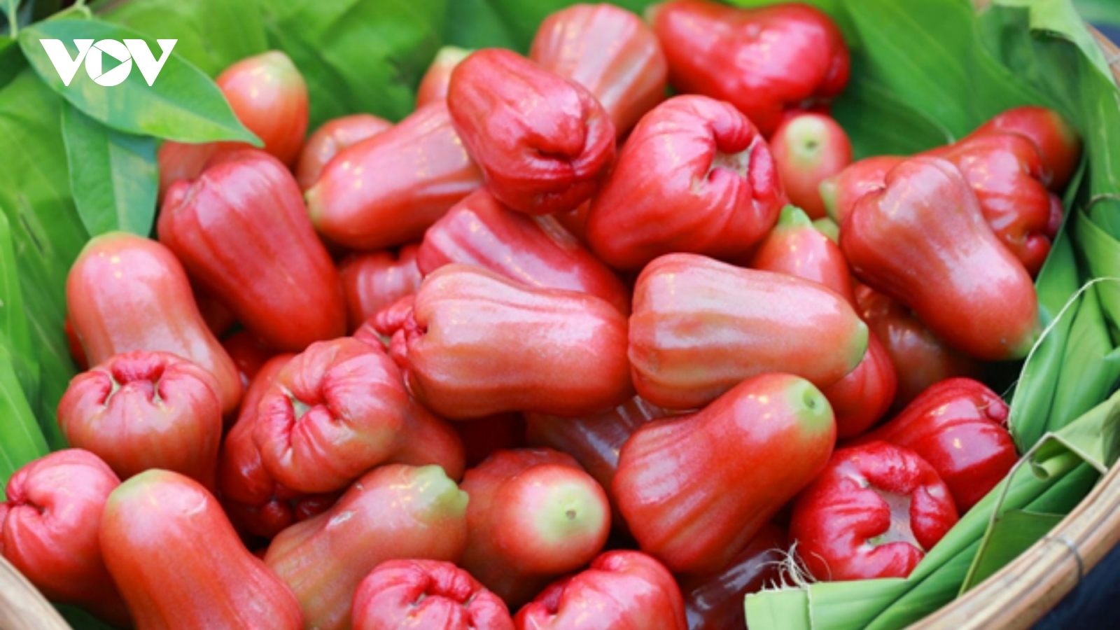 Việt Nam có “nữ hoàng trái cây”, ăn vào bổ đủ đường lại không lo tăng cân