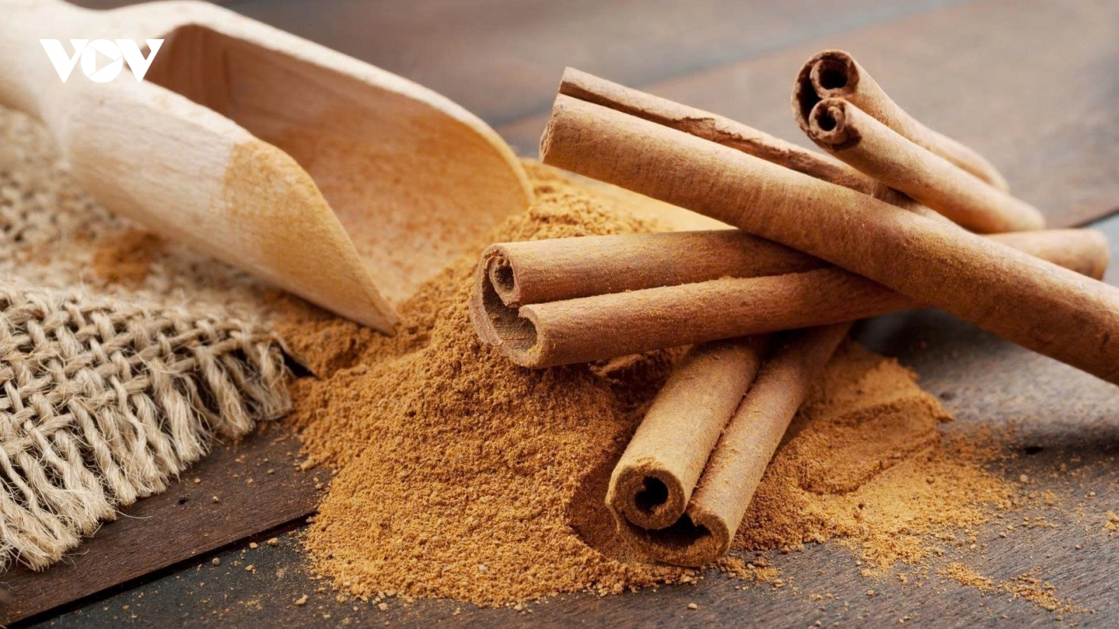 Khám phá tác dụng chữa bệnh của lá quế và cây quế