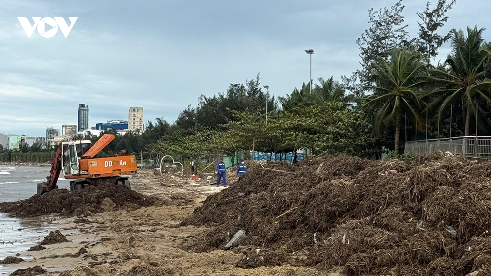 Đà Nẵng: Dọn rác thải ở bãi biển sau mưa lũ