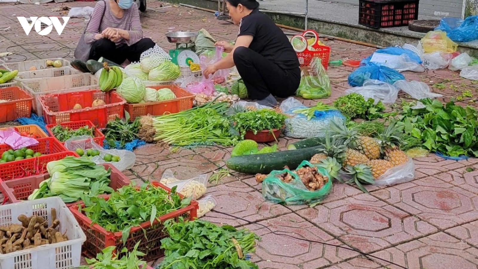 Giá rau xanh tăng cao, người tiêu dùng phải giảm lượng rau để tiết kiệm chi phí