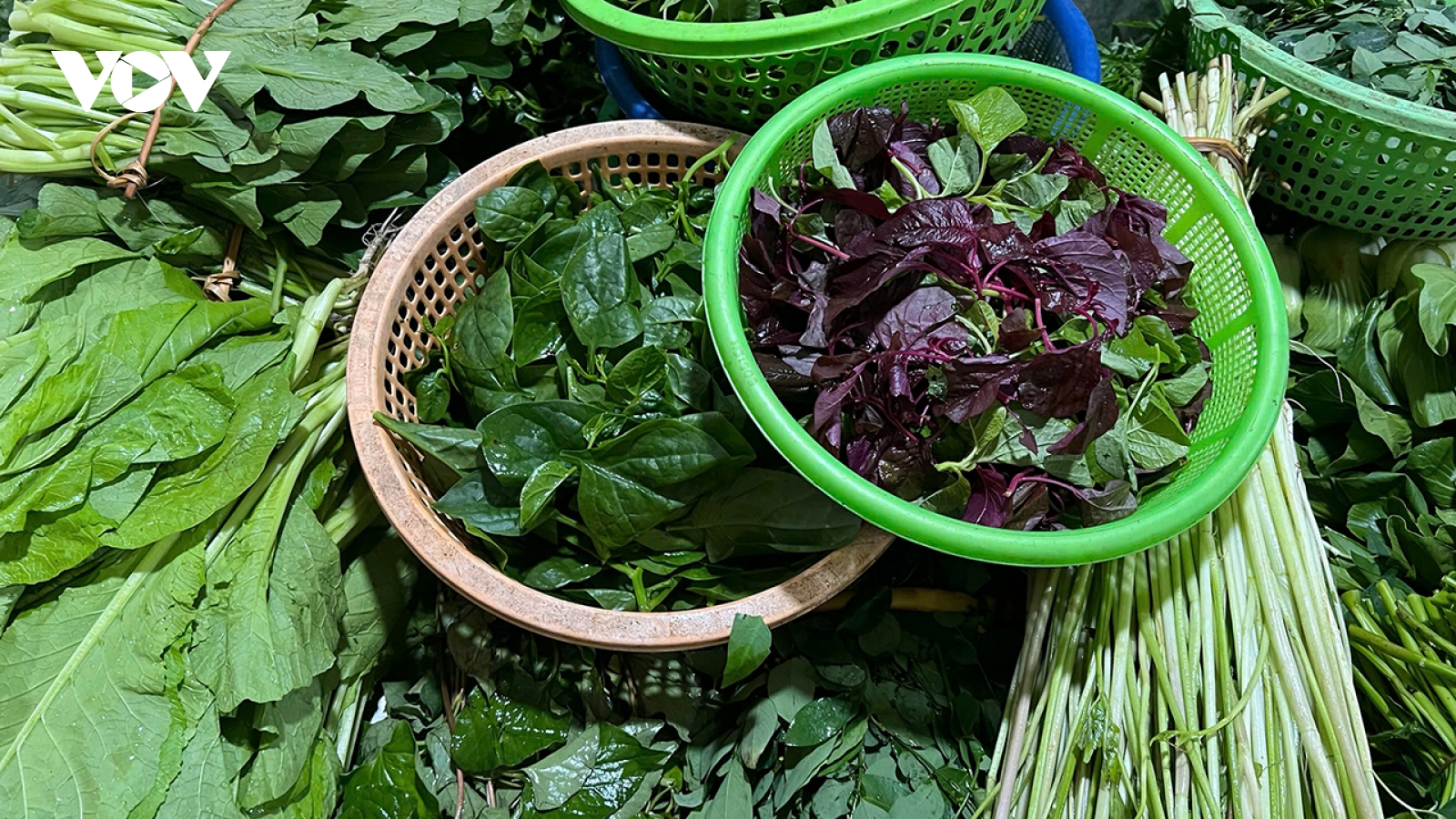 Giá rau xanh ở Hà Nội tăng chóng mặt do khan hiếm sau bão lụt