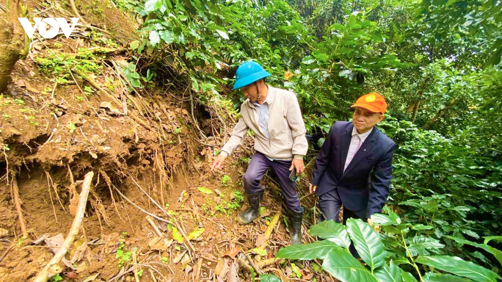 Viện Hàn lâm KH&CN Việt Nam cử chuyên gia hỗ trợ Lâm Đồng khảo sát sạt lở