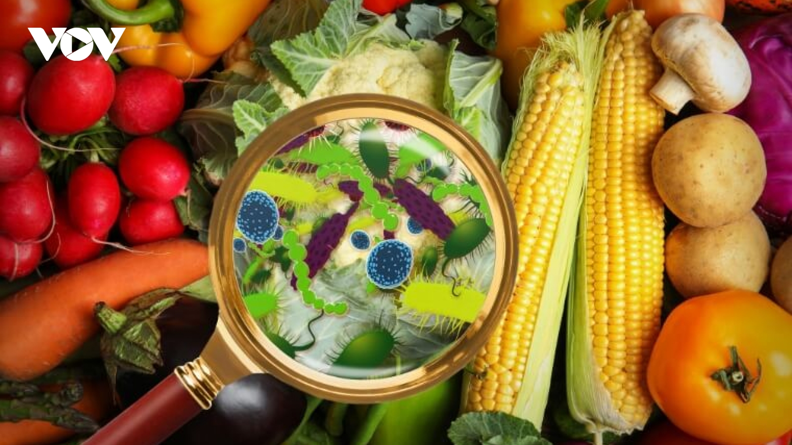 Nhiều công nhân nghi ngộ độc thực phẩm sau bữa trưa