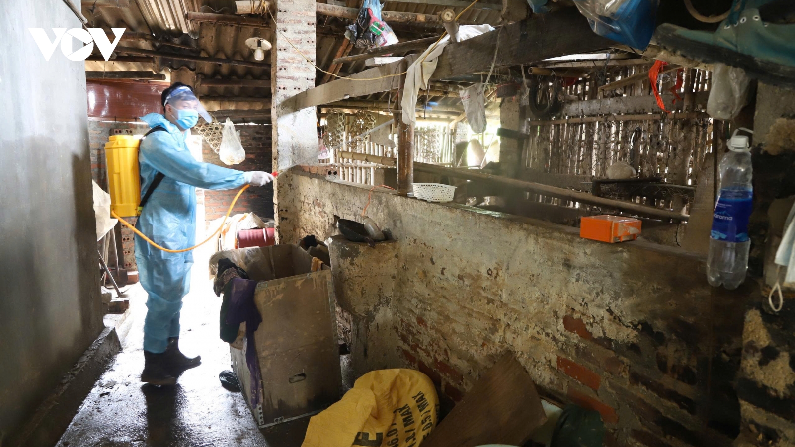 Cao Bằng chủ động phòng chống bệnh xoắn khuẩn sau mưa lũ