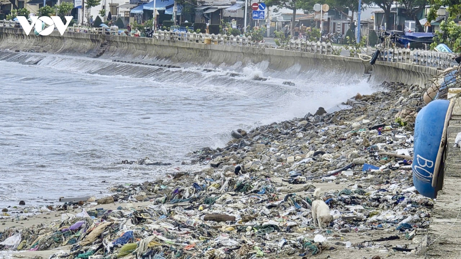 Khánh Hoà: Rác thải ngập bờ biển phường Bắc Nha Trang
