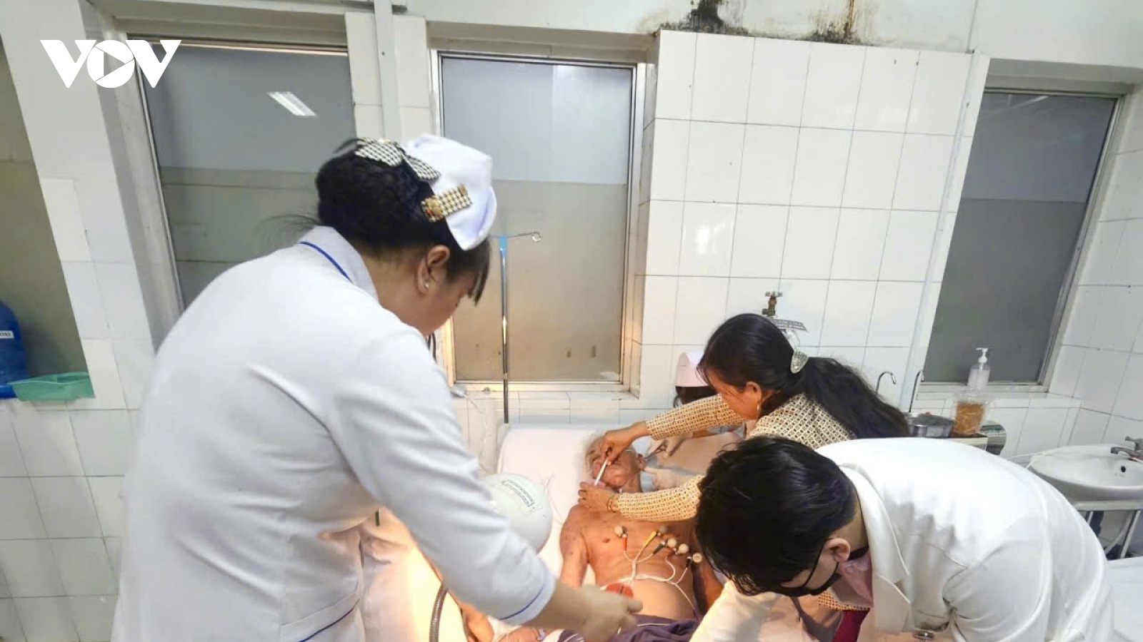 Cụ ông ở tỉnh Đồng Tháp bị đàn ong đốt đã tử vong