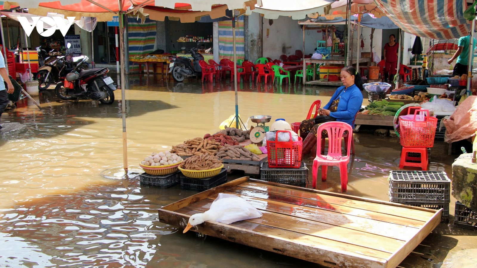Nước ngập kéo dài, tiểu thương Cần Thơ lao đao hơn 1 tháng qua
