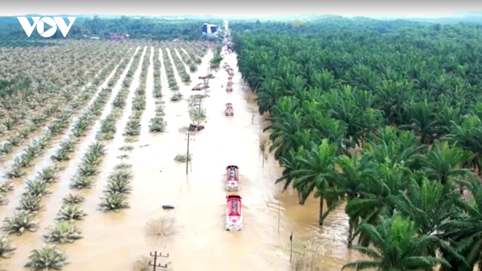 Indonesia đối mặt nguy cơ khủng hoảng nhân đạo sau thiên tai