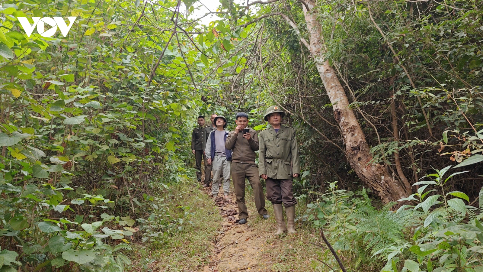 Bảo vệ rừng bằng công nghệ số tại Sơn La
