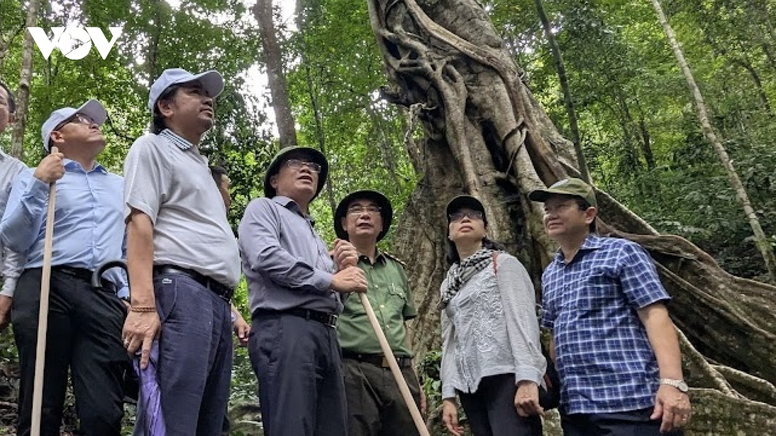 Phát triển du lịch sinh thái Gia Lai mở những giá trị tự nhiên độc nhất