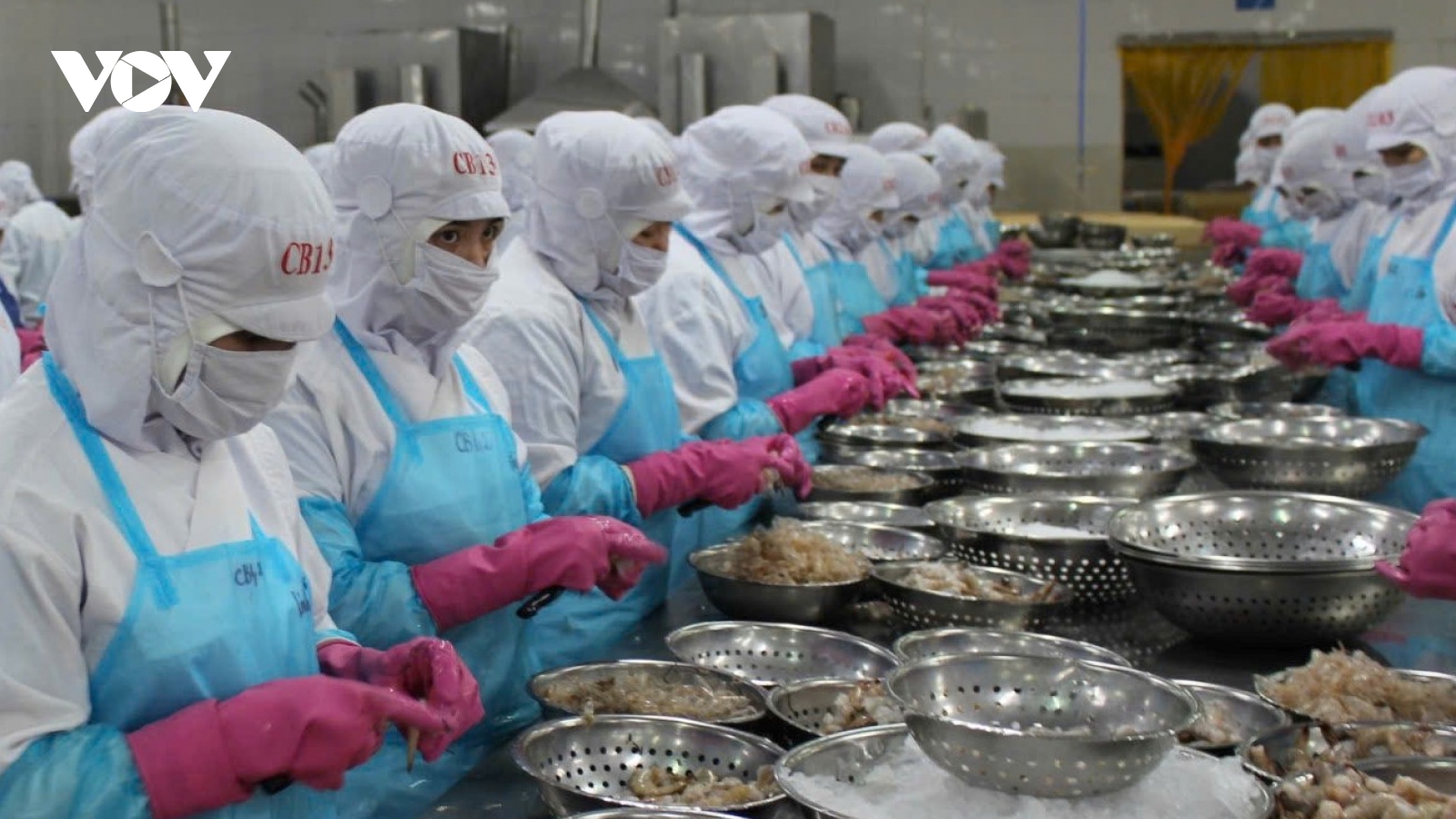 Siết rào cản phòng vệ: Thủy sản Việt Nam tìm đường tăng sức chống chịu