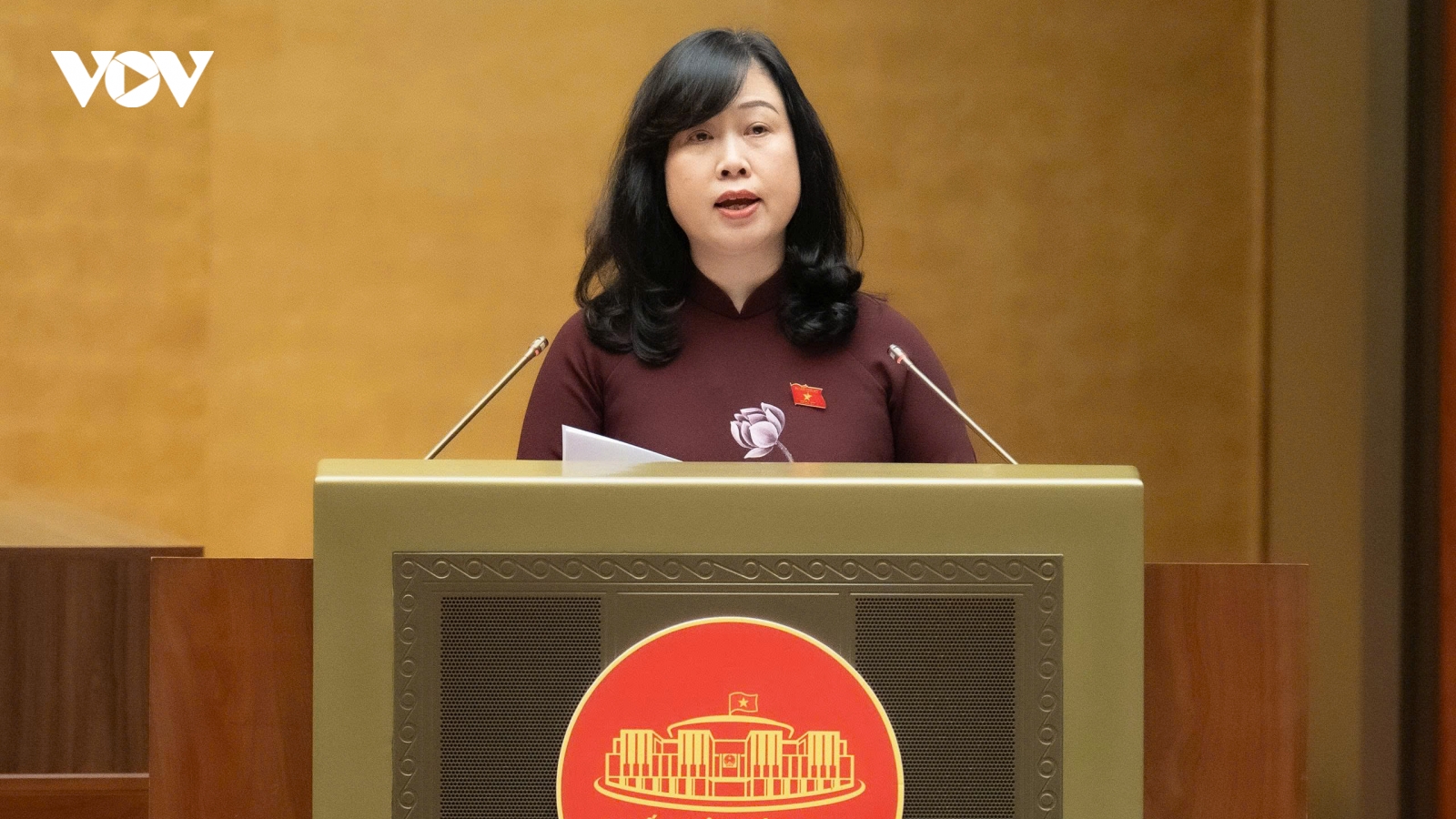 Quốc hội quyết 100% người dân sẽ có sổ chăm sóc sức khỏe điện tử từ năm 2030