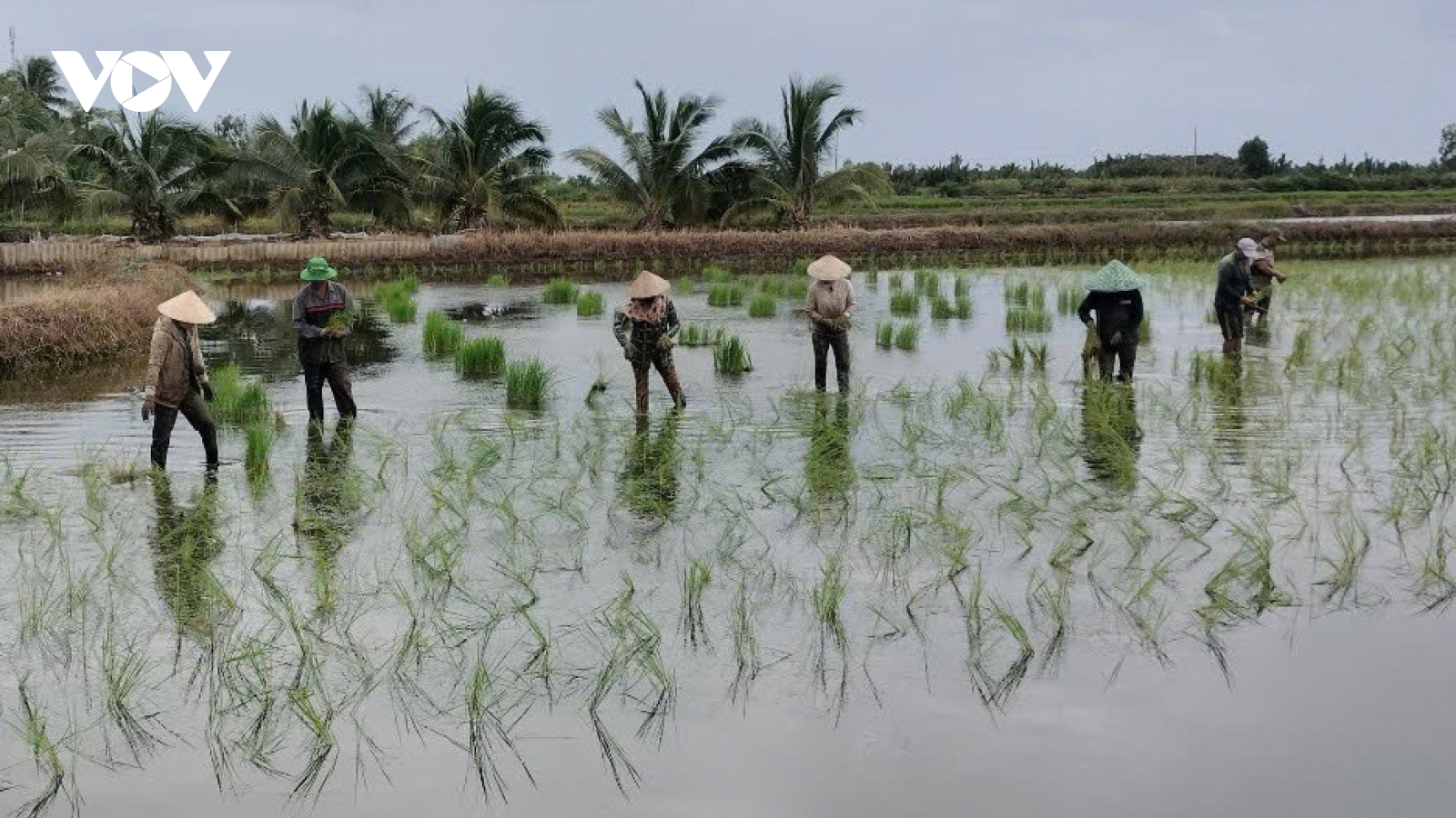 Trao cần câu để người dân Cà Mau tự lực vươn lên thoát nghèo