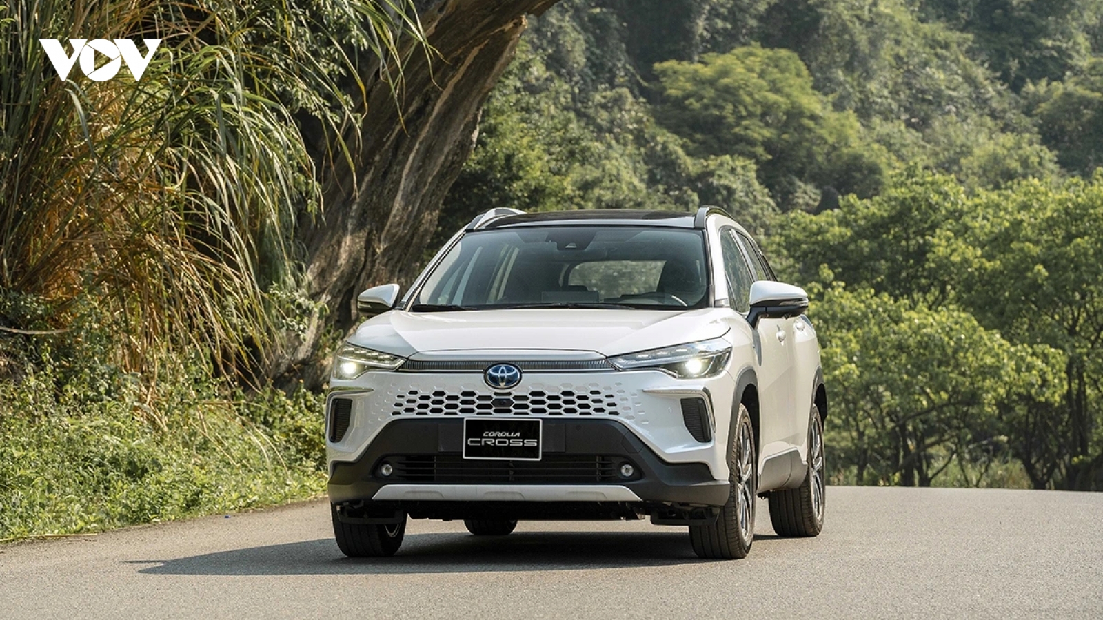 Top xe hybrid được yêu thích nhất thị trường Việt Nam tháng 11/2025