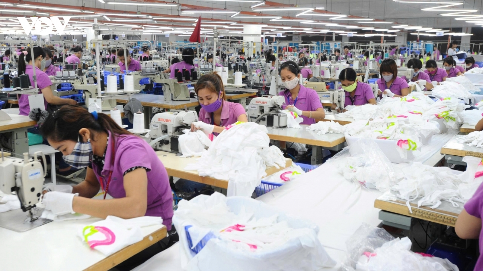 Labour market eyes strong rebound in 2026 after weathering 2025 challenges