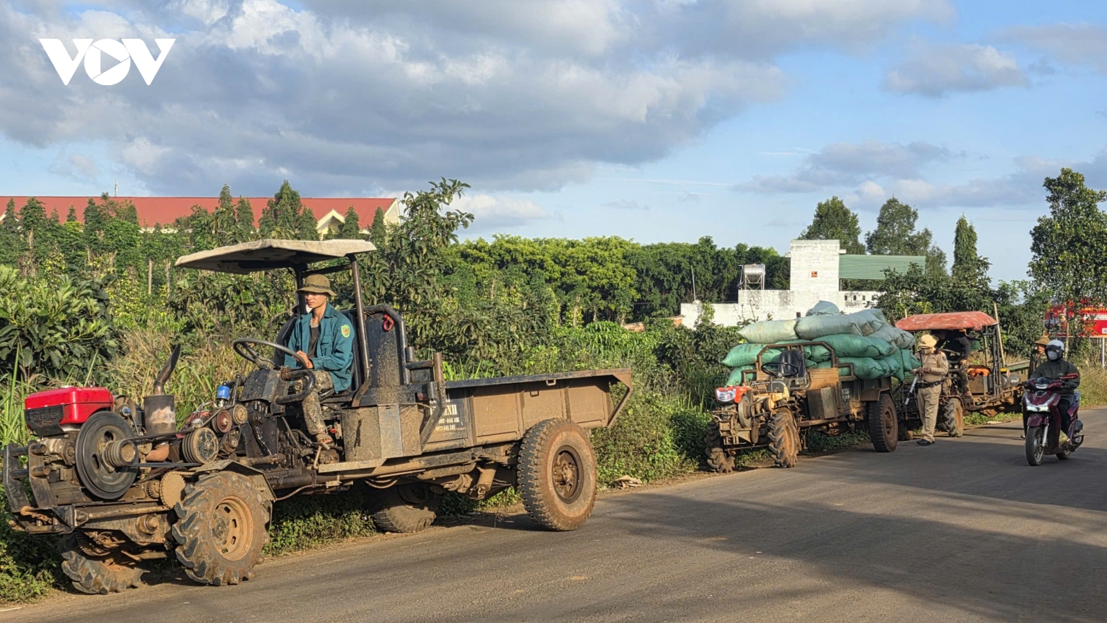 Lâm Đồng đảm bảo thu hoạch cà phê an toàn