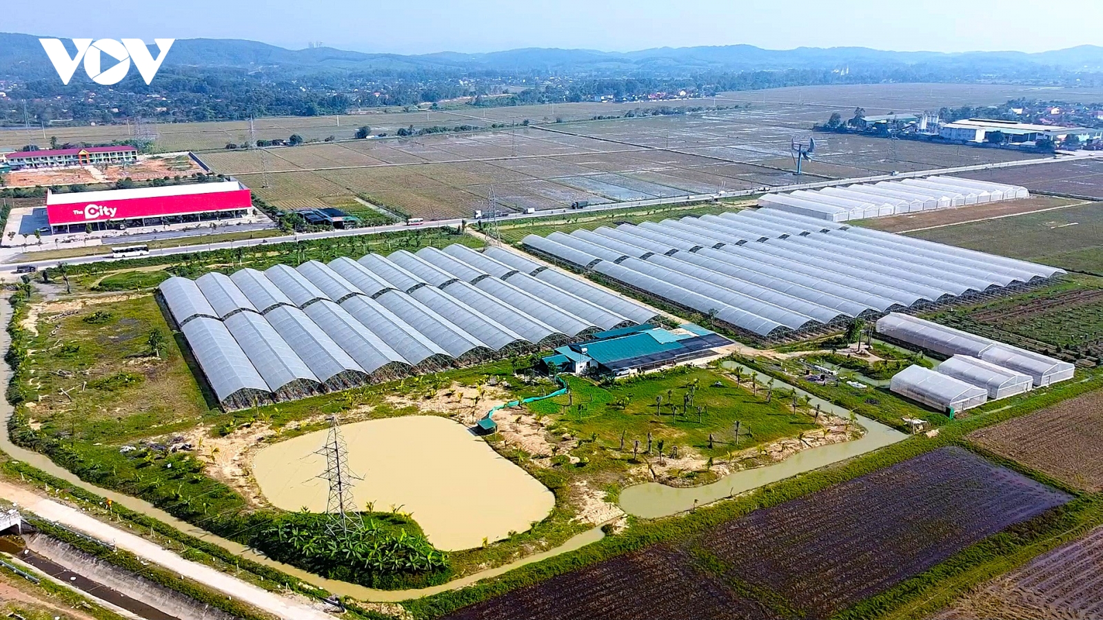 Nghệ An: Nông nghiệp tập thể - Đột phá tạo vị thế