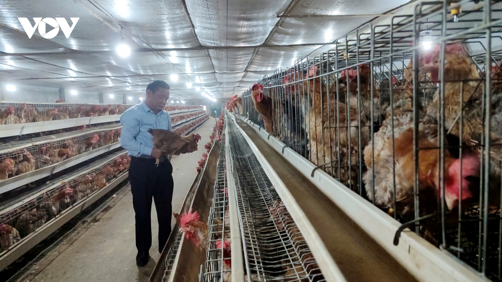 Quảng Ninh phấn đấu hoàn thành 9 vùng chăn nuôi an toàn dịch bệnh trong năm 2025