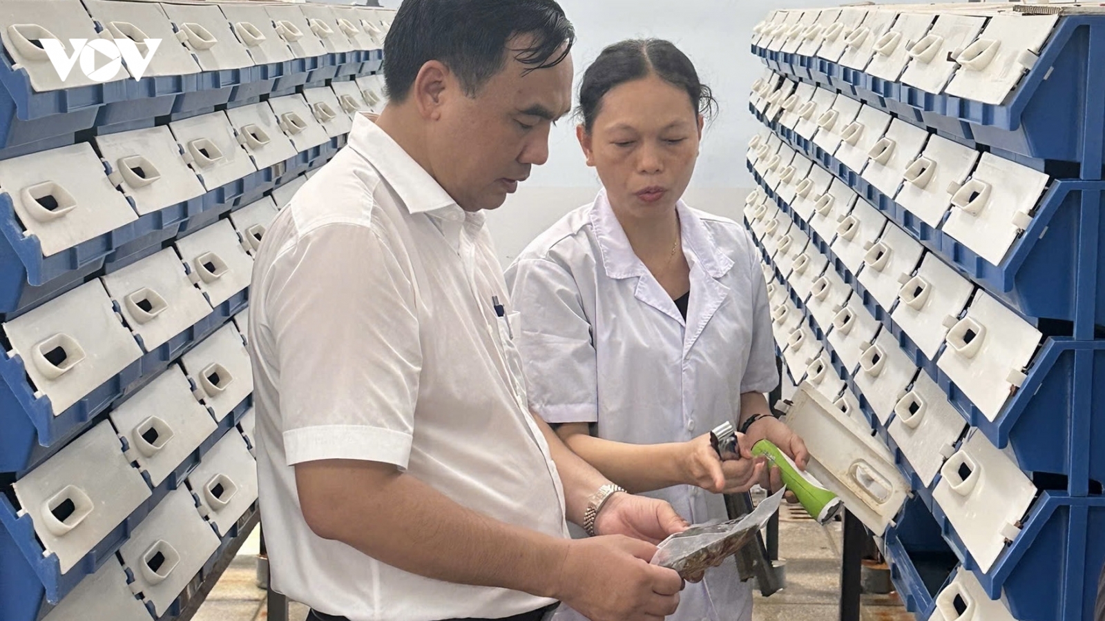 TP.HCM chuyển giao nông nghiệp công nghệ cao hạn chế ảnh hưởng biến đổi khí hậu