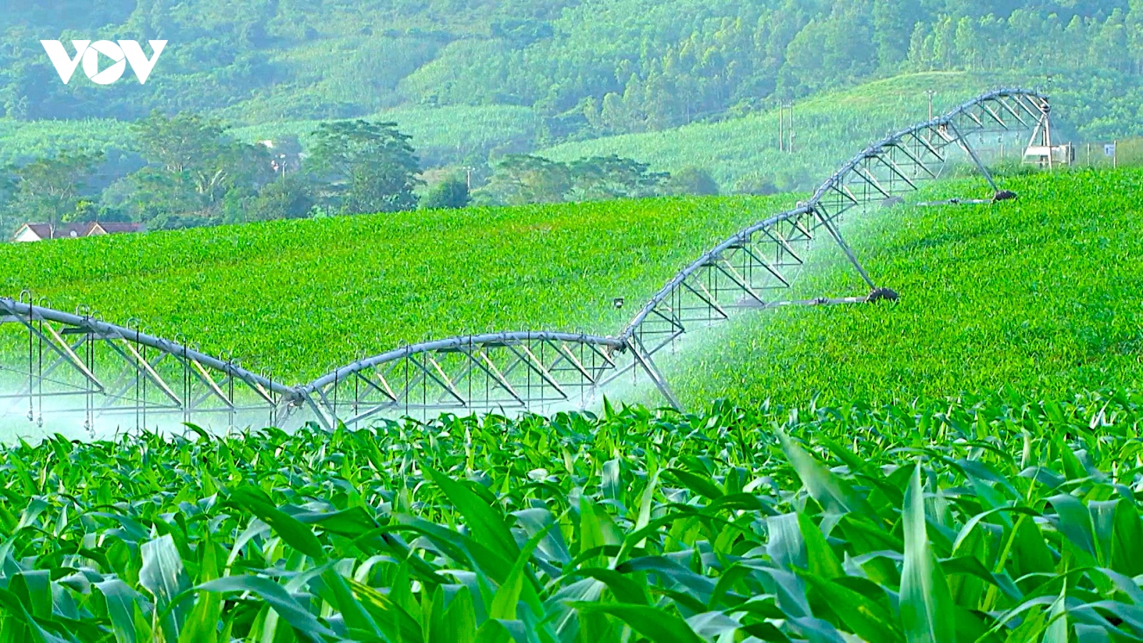 Vai trò kinh tế số trong lộ trình cơ cấu lại ngành nông nghiệp Nghệ An