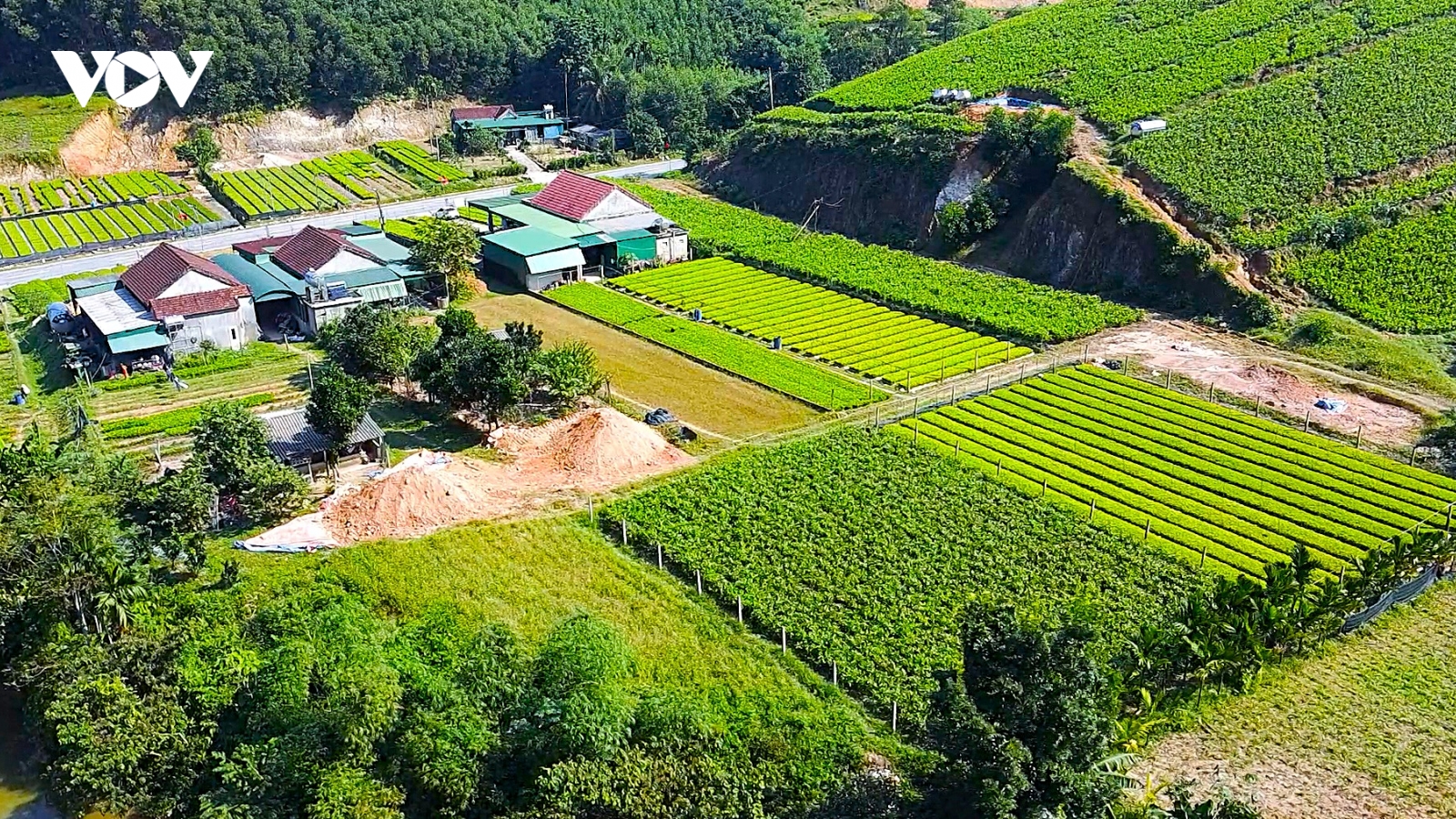 Nghệ An - Hành trình giảm nghèo bền vững