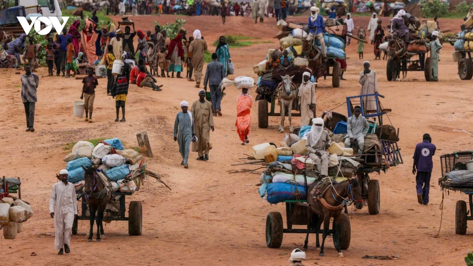 Ai Cập chuyển lô hàng cứu trợ nhân đạo đầu tiên bằng đường bộ đến Sudan