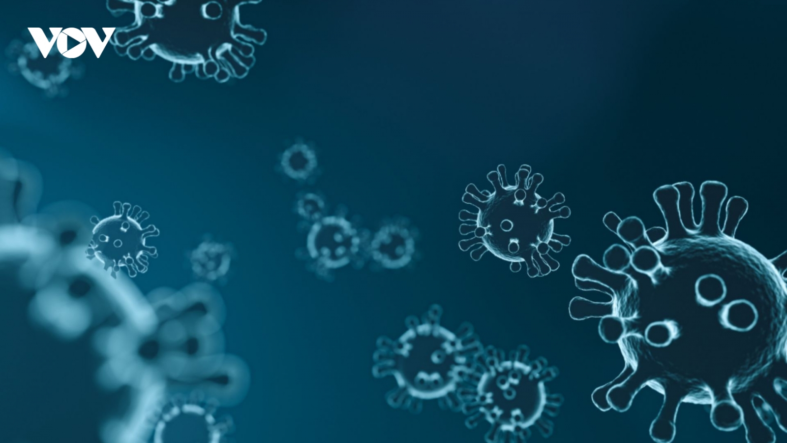 Lào ghi nhận virus bại liệt biến đổi gene, Bộ Y tế họp trực tuyến toàn quốc