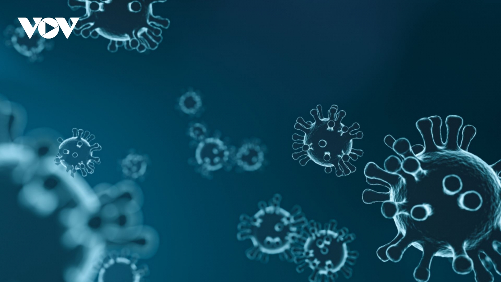 Lào ghi nhận virus bại liệt biến đổi gene, Bộ Y tế họp trực tuyến toàn quốc