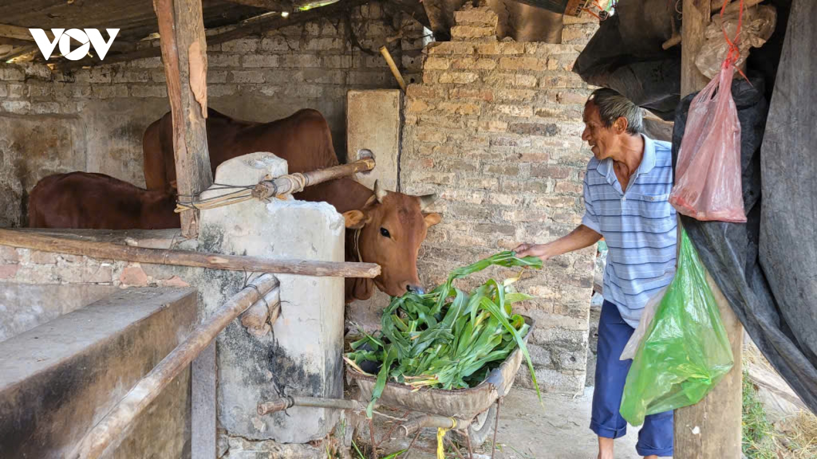 Tỷ lệ hộ nghèo của tỉnh Bắc Ninh giảm còn dưới 1%