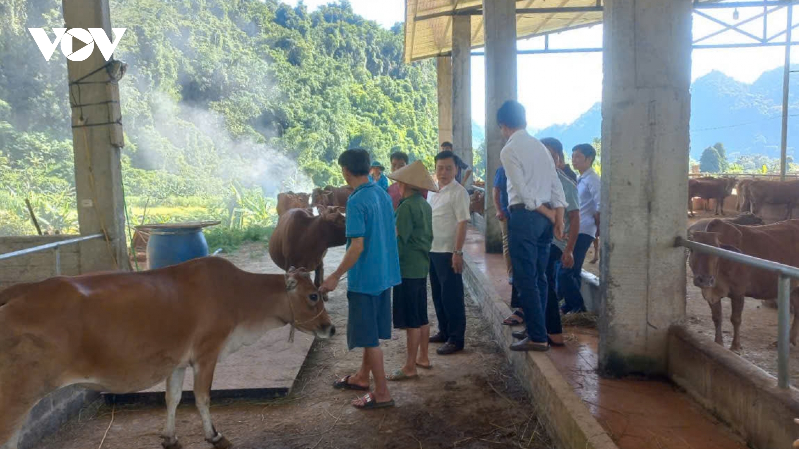 HTX nông nghiệp Hà Trúc đào tạo nghề để người dân bám đất, bám làng
