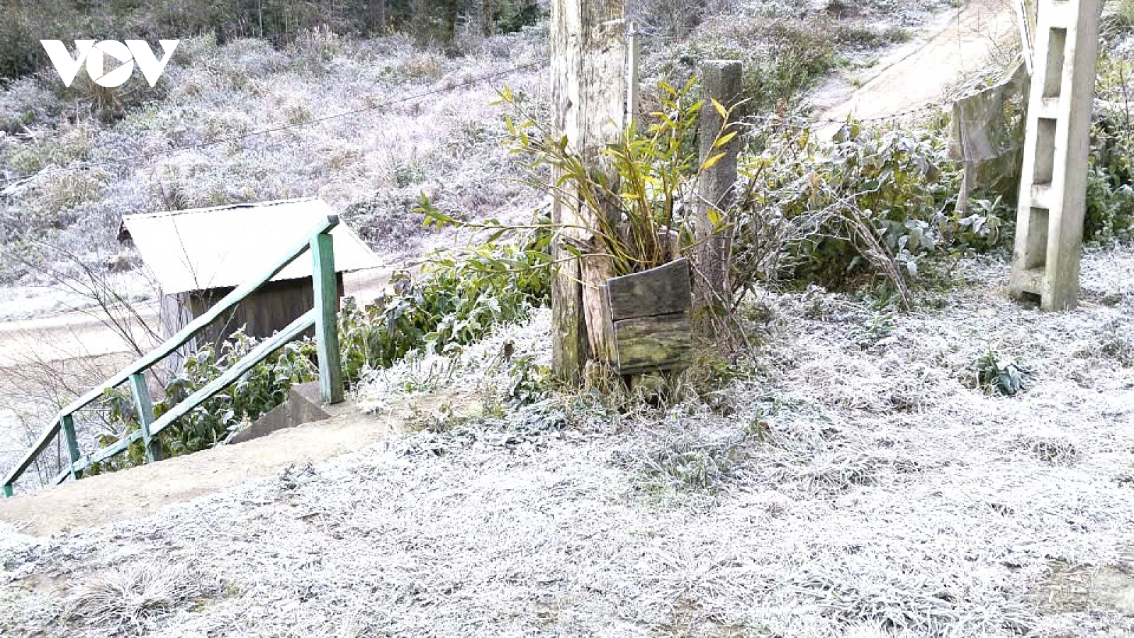 Băng giá phủ trắng xã biên giới Nghệ An